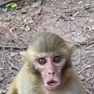 😤