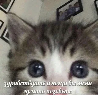 👋