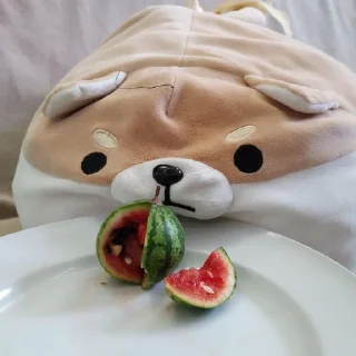 🍉