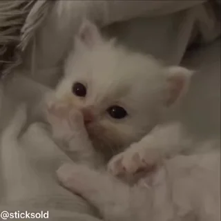🥹