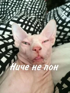 🥴