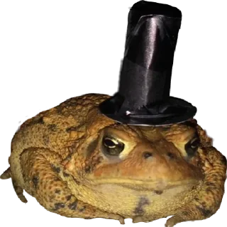 🎩