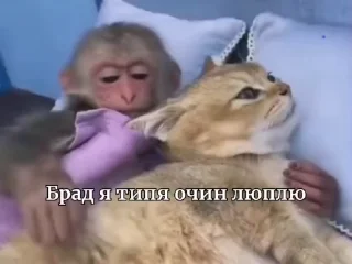 😎
