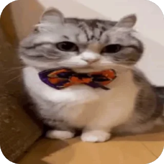 🫥