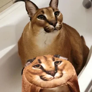 👽