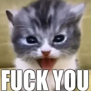 🤬