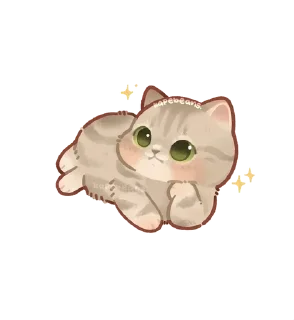 🌟
