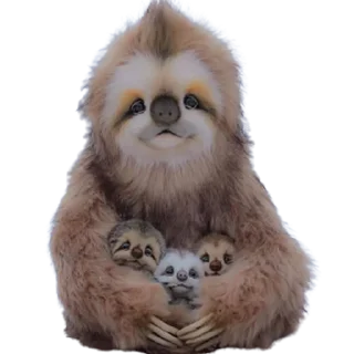👨‍👩‍👦