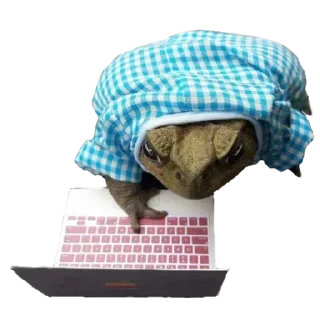 🐸