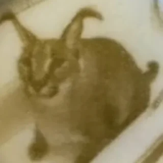 😶