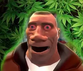🌿