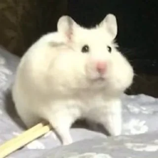 🫤