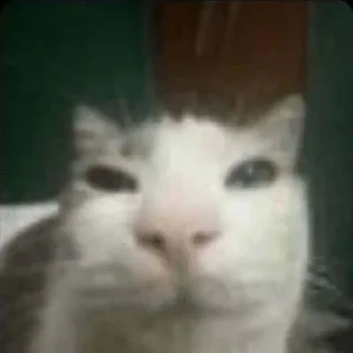 😐
