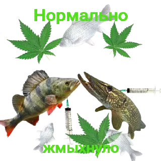 💉