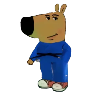 🥋