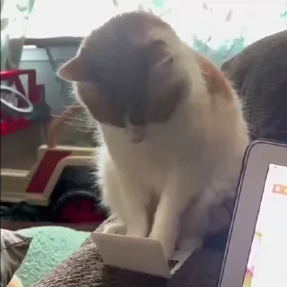 😌
