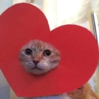 ❤️