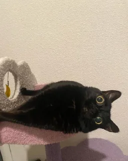 🙃