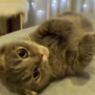 ☺️