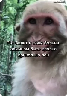 😁