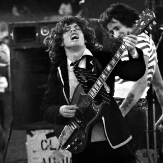 🎸