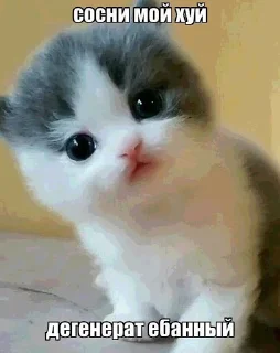 😌