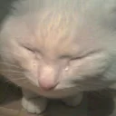 😢