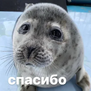😇