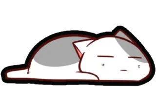 🐈