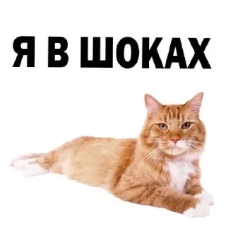 😄