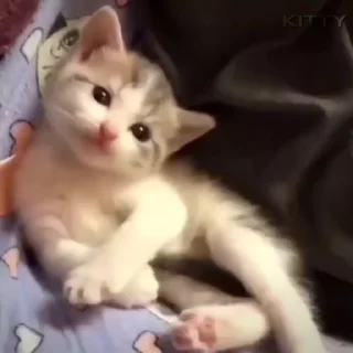 🖕