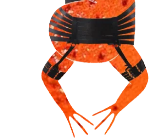 🐸