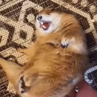 😏
