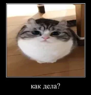 🙃