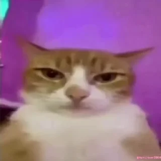 🔗