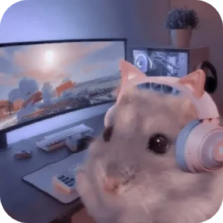 🖥