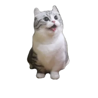 🫥