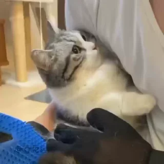 🥲