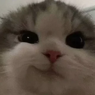 😌