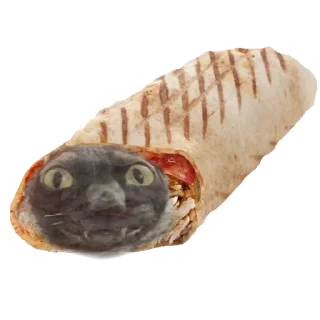 🌯