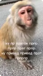 👋