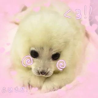 ☺️