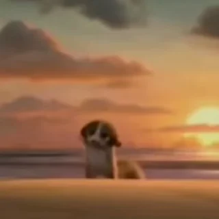 🌟