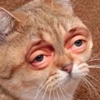 🤐