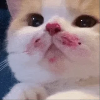 🥴