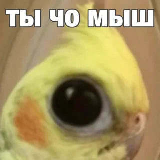 🤨