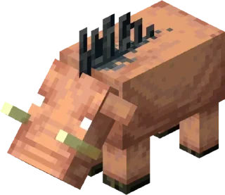 🐖