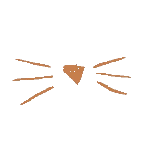 😸