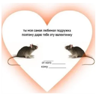 💗