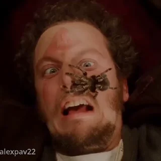 🕷